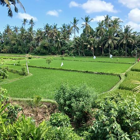 Sunset Pandawa Villa Ubud Zewnętrze zdjęcie