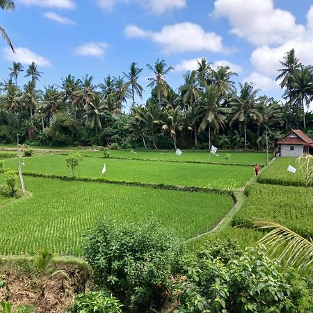 Sunset Pandawa Villa Ubud Zewnętrze zdjęcie