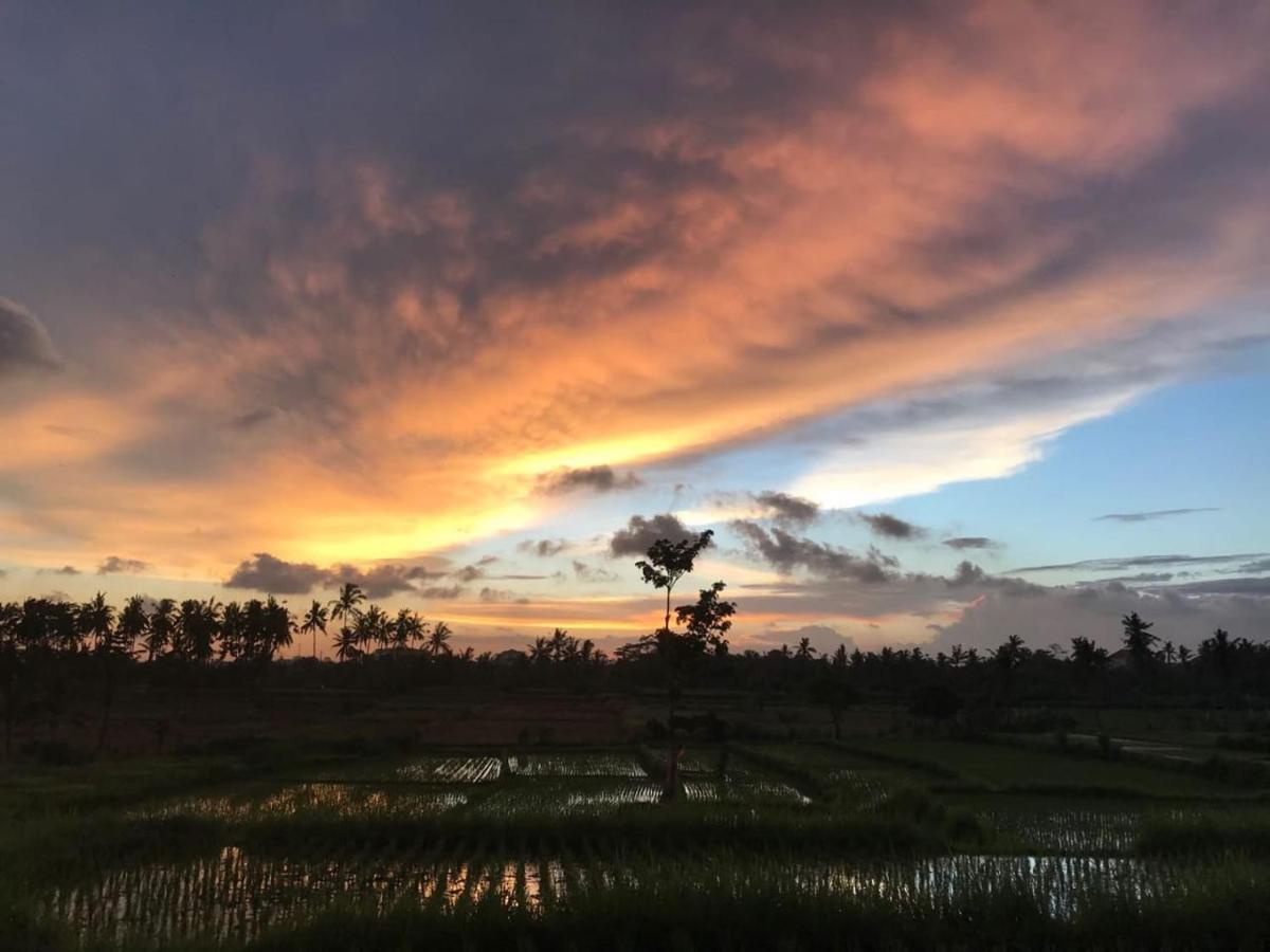 Sunset Pandawa Villa Ubud Zewnętrze zdjęcie