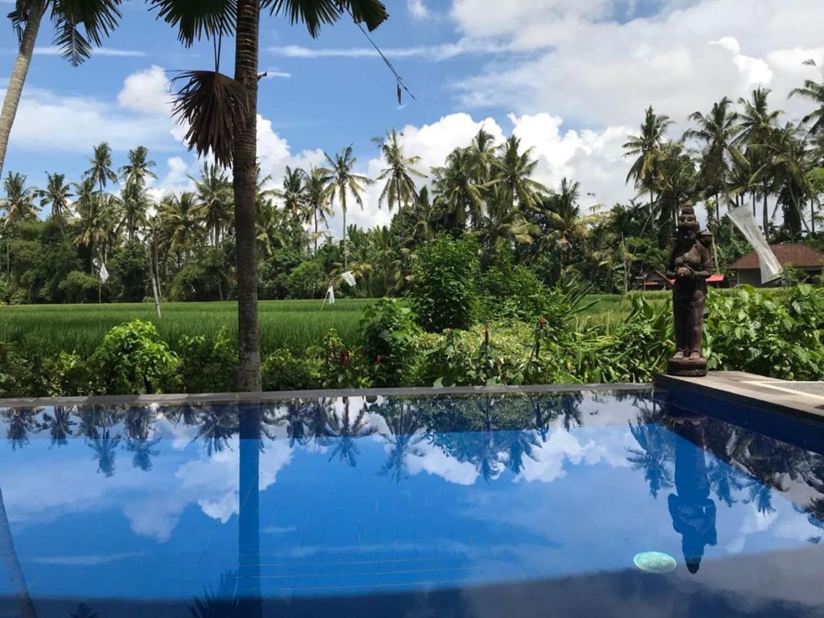 Sunset Pandawa Villa Ubud Zewnętrze zdjęcie