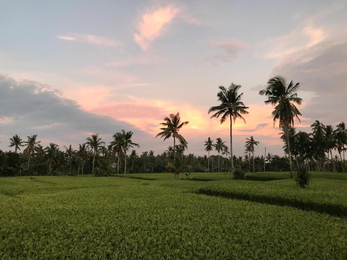 Sunset Pandawa Villa Ubud Zewnętrze zdjęcie