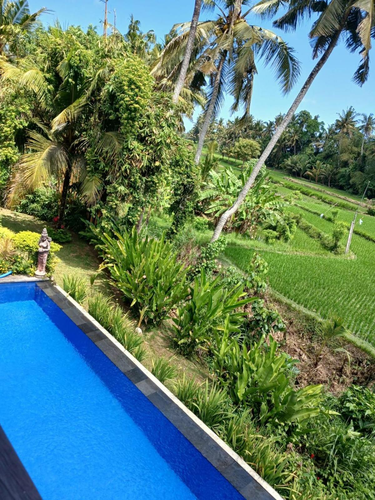 Sunset Pandawa Villa Ubud Zewnętrze zdjęcie